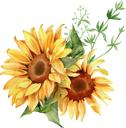 Watercolor sunflower arrangement